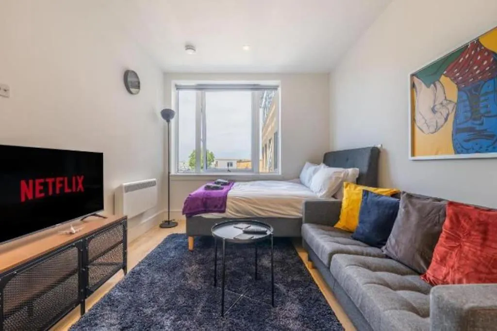 Cozy Studio Apartment contacts